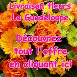 FLEURS LA GUADELOUPE