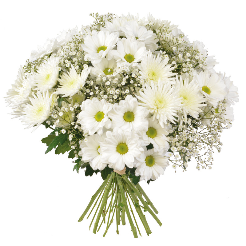 FLEURS DEUIL LA MARTINIQUE BOUQUET PENSÉE FLEURS DEUIL LA MARTINIQUE BOUQUET PENSÉE