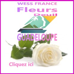 FLEURS DEUIL guadeloupe