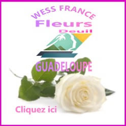 FLEURS DEUIL LA GUADELOUPE