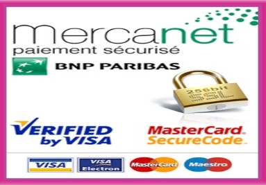 paiement securise fleurs deuil Martinique